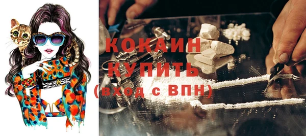 соль ск Алексеевка