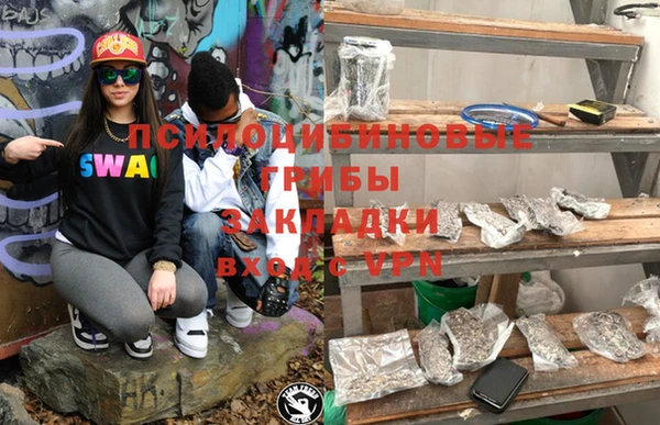 2c-b Саяногорск