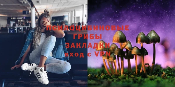 соль ск Алексеевка