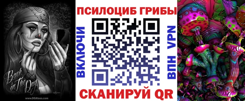 Галлюциногенные грибы мицелий  omg маркетплейс  Мичуринск 