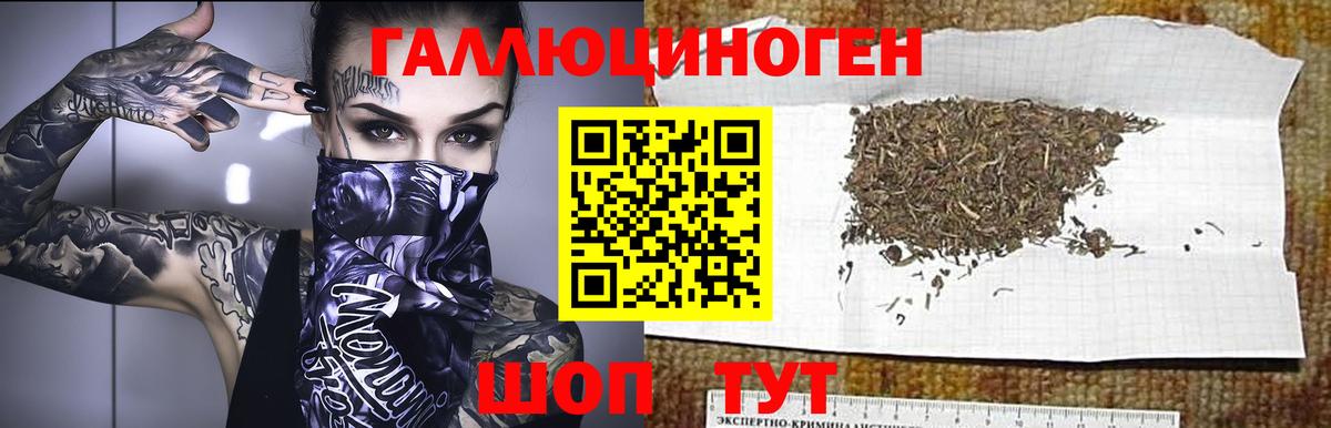 Псилоцибиновые грибы мицелий Мичуринск